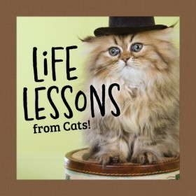 Life Lesso &hellip;