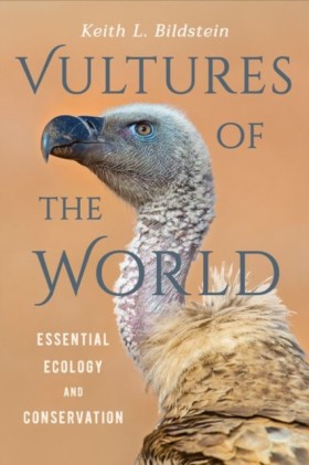 Vultures o &hellip;