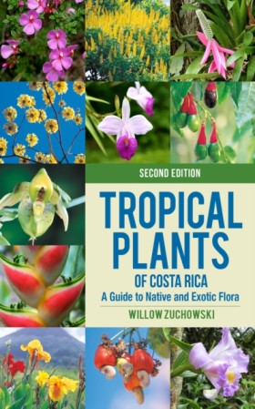 Tropical P …