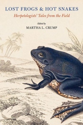 Lost Frogs …