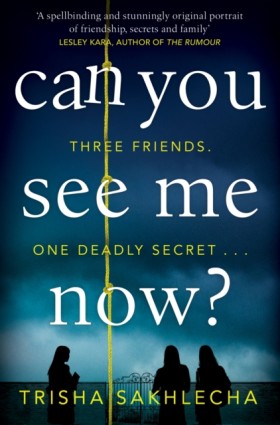 Can You Se &hellip;