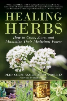 Healing He &hellip;