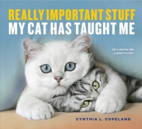 Really Imp …
