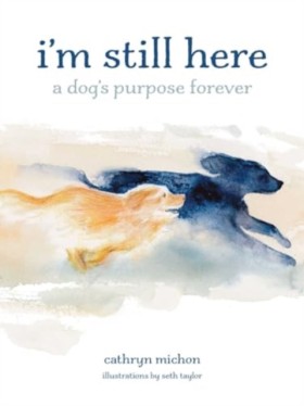 Im Still H &hellip;