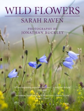 Sarah Rave &hellip;