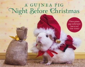A Guinea P &hellip;