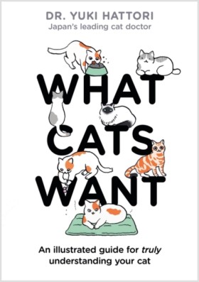 What Cats …
