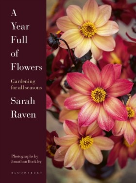 A Year Ful …