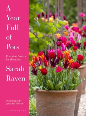 A Year Ful …