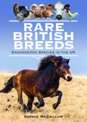 Rare Briti …