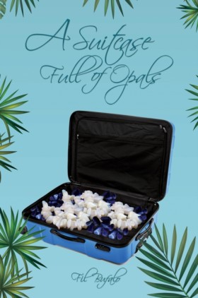 A Suitcase …