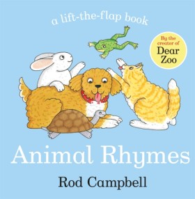 Animal Rhy …