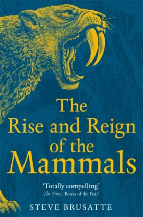 The Rise a &hellip;