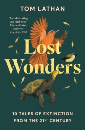 Lost Wonde …