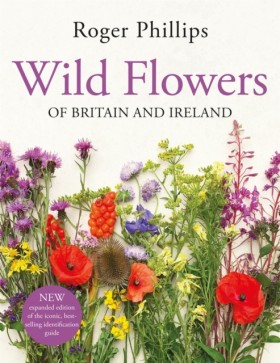 Wild Flowe &hellip;