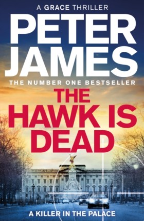 The Hawk I …