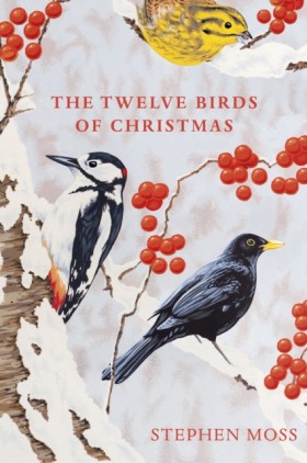The Twelve &hellip;