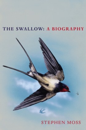 The Swallo …