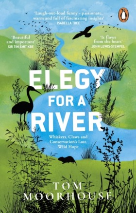Elegy For …