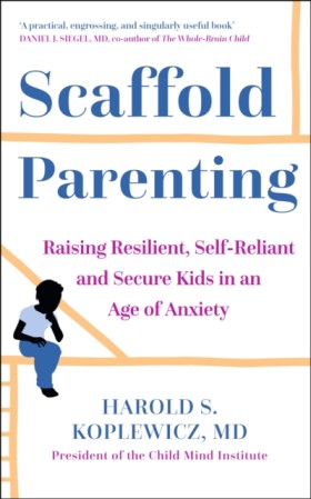 Scaffold P &hellip;