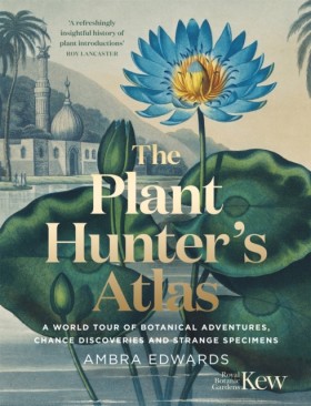 The Plant- &hellip;