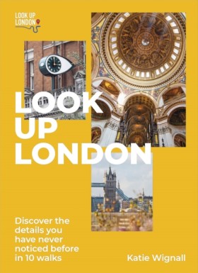 Look Up Lo …