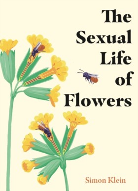 The Sexual …