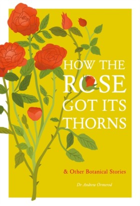How the Ro &hellip;