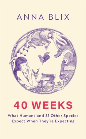 40 Weeks