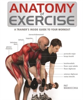 Anatomy of …