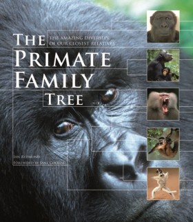 The Primat &hellip;