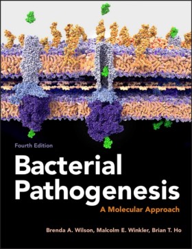 Bacterial …