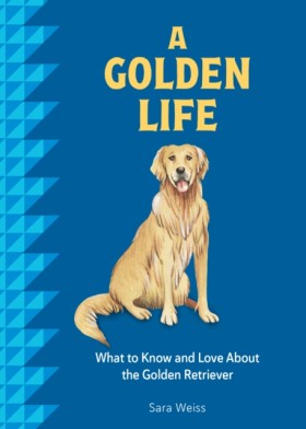 A Golden L …