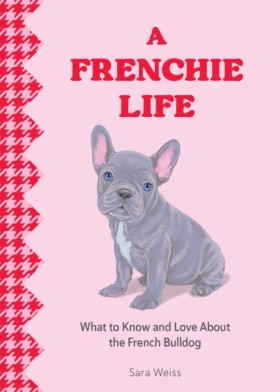 A Frenchie …