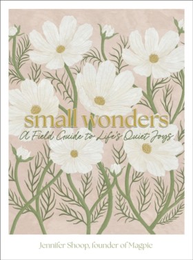 Small Wond …