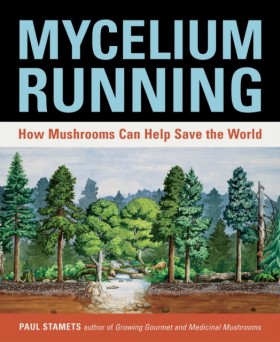 Mycelium R …