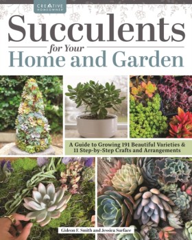 Succulents …
