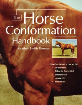 The Horse …