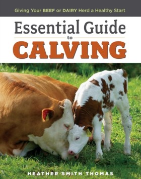 Essential &hellip;