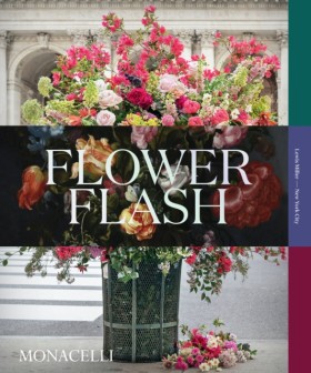 Flower Fla &hellip;