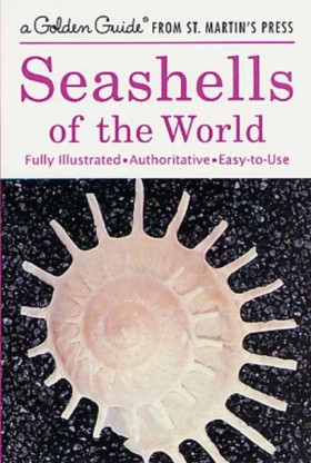 A Seashell …