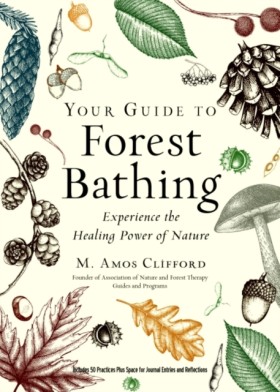 Your Guide …