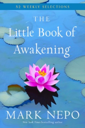 The Little &hellip;