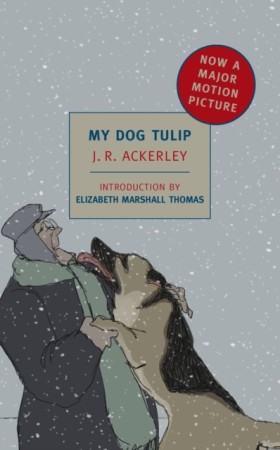 My Dog Tul &hellip;