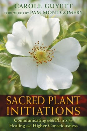 Sacred Pla &hellip;