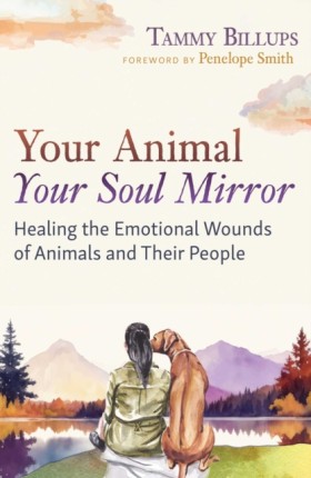 Your Anima &hellip;