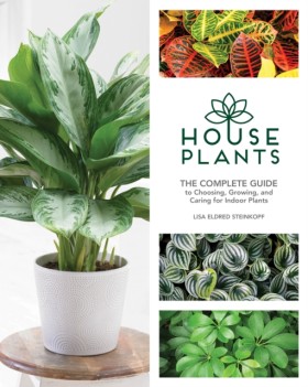 Houseplant &hellip;