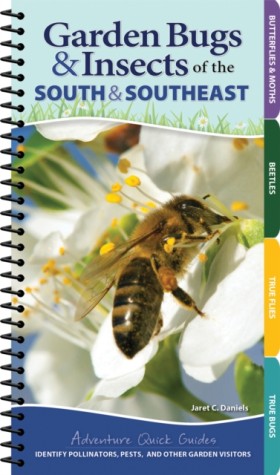 Garden Bug …