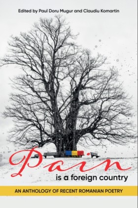 Pain Is a &hellip;