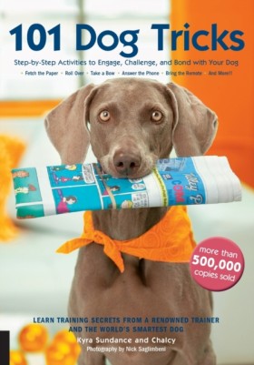 101 Dog Tr …